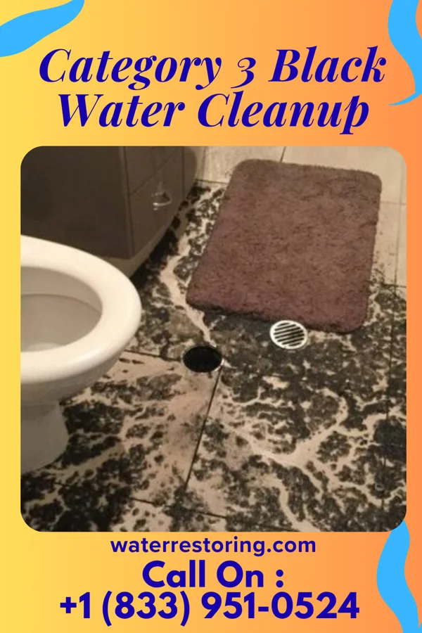 Category 3 Black Water Cleanup in Scottsboro, AL